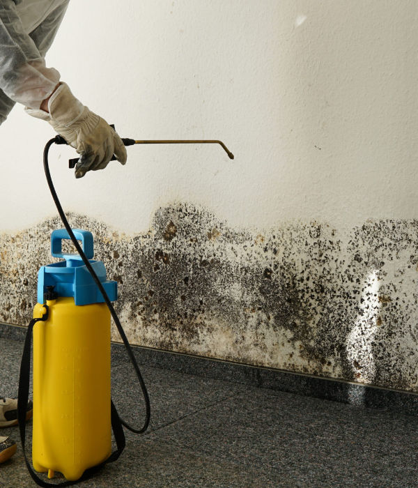 Water damage restoration technician with professional equipment in Anaheim Hills CA