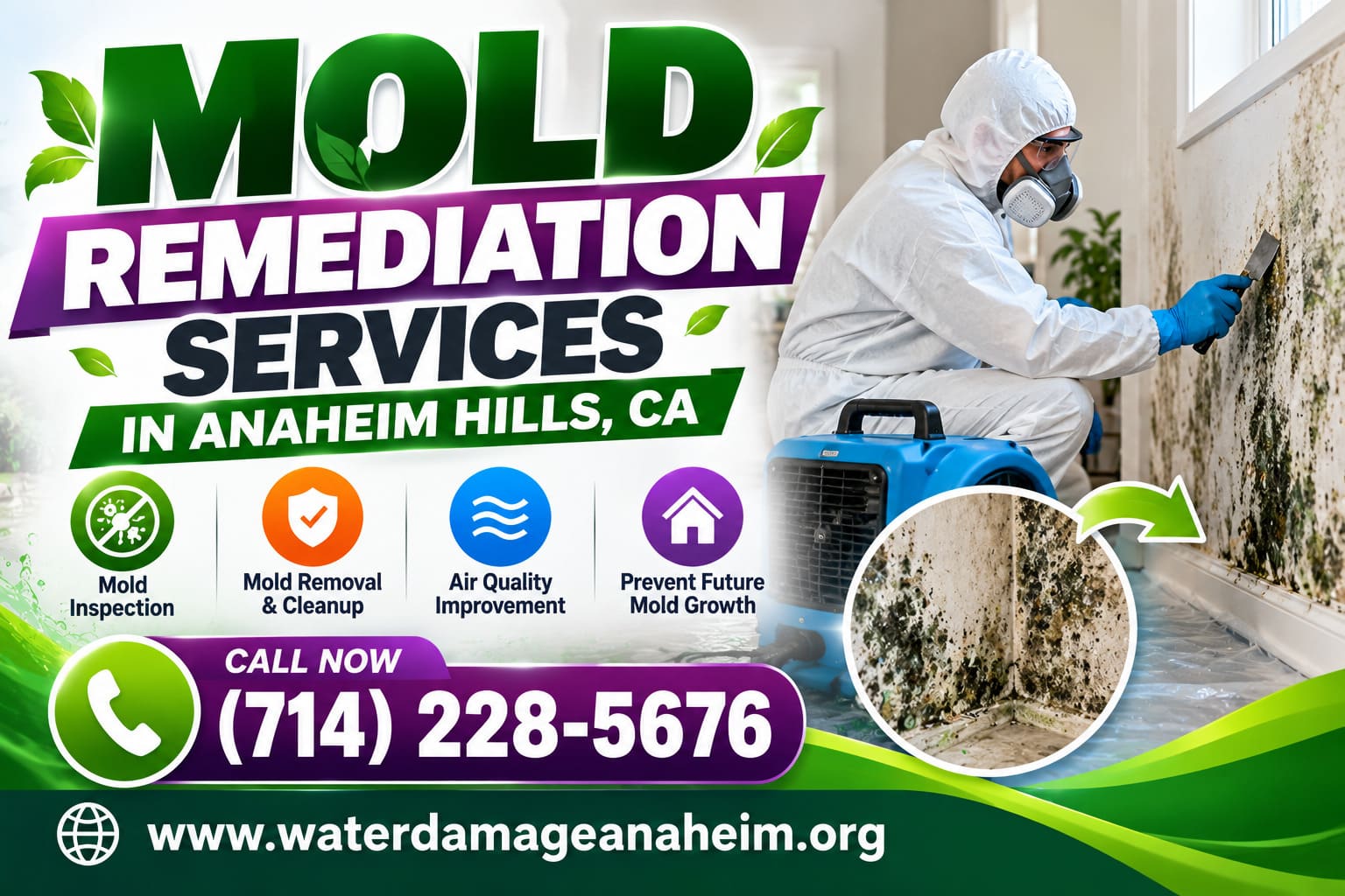 Mold remediation specialist treating water-damaged walls in an Anaheim Hills property